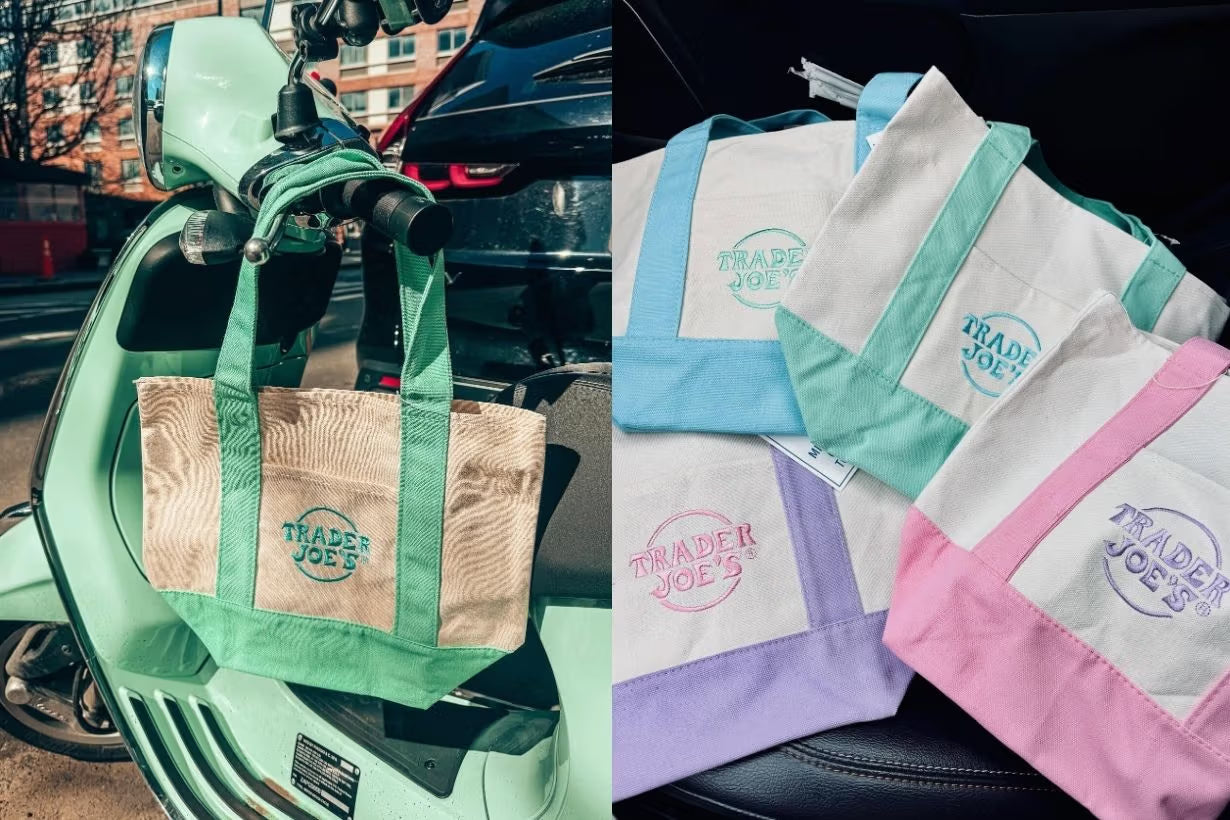 Trader Joe's mini tote bag