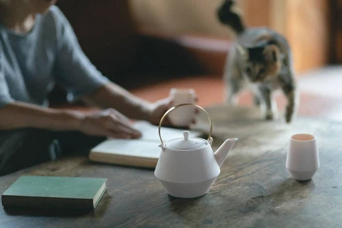 晉山窯 Frustum陶土矮身茶杯 四色 | 美濃燒